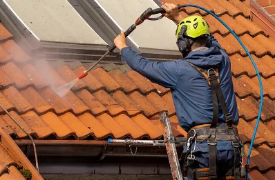Démoussage et hydrofuge de toiture à Borée